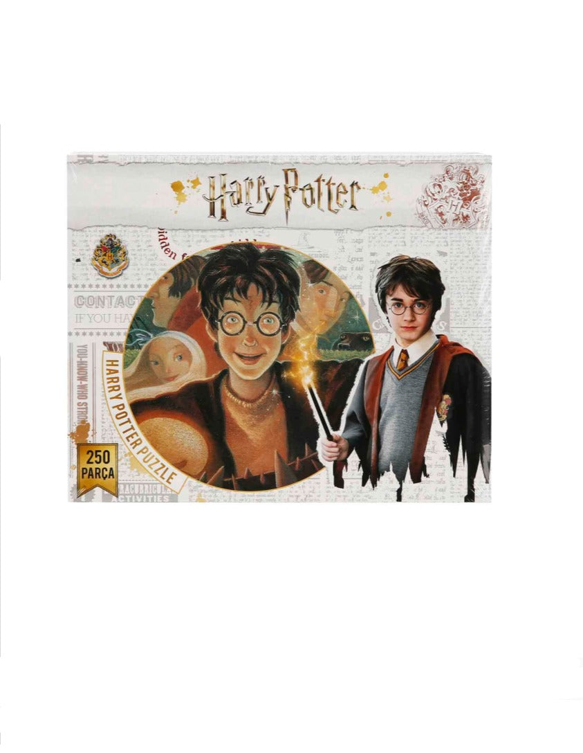 250 Parça Puzzle Harry Potter