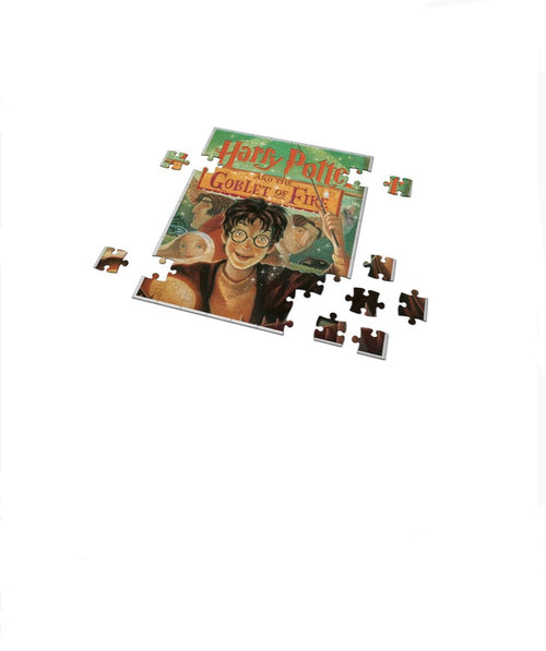 250 Parça Puzzle Harry Potter