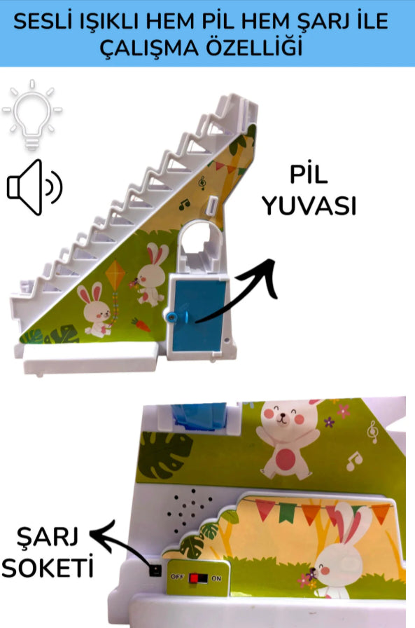 Büyük Boy Dön Dolaş Tavşan Sesli