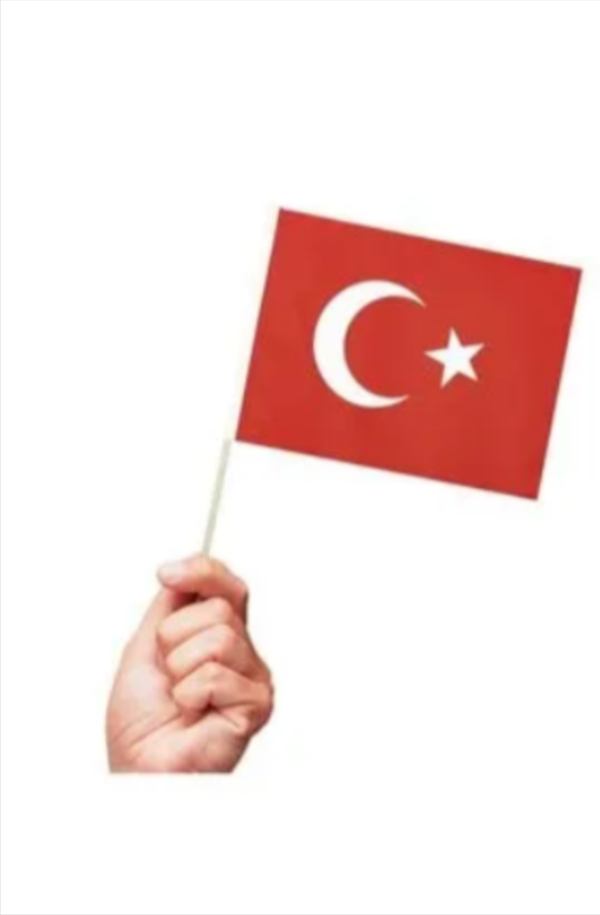 5 adet Sopalı Kağıt Büyük Türk Bayrağı 38x29cm