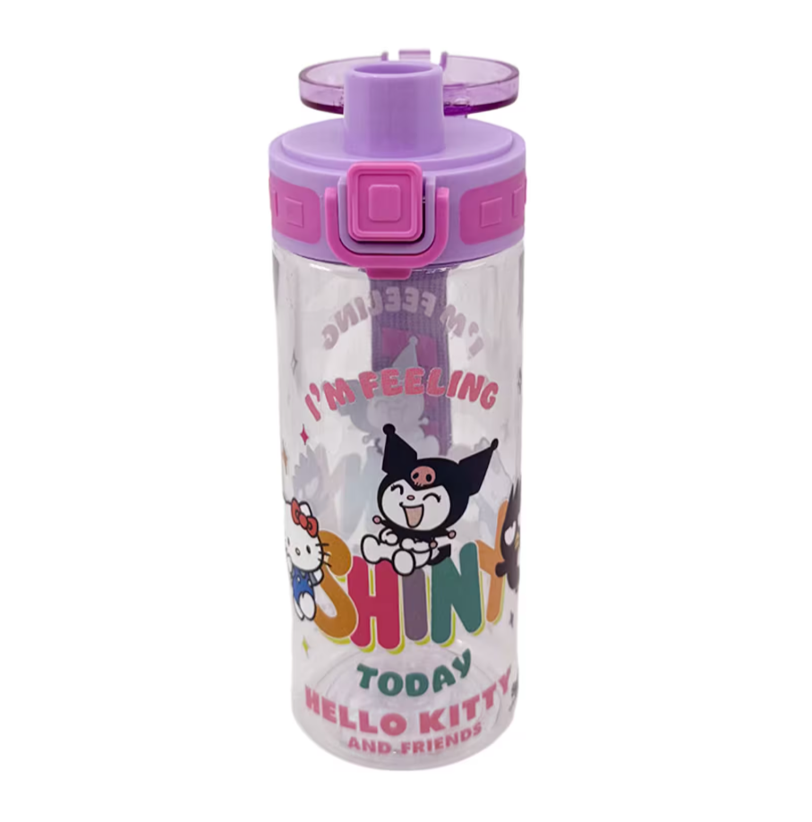 Hello Kitty, Kuromi And Friends Şeffaf Akrilik Matara 500ML 3421
