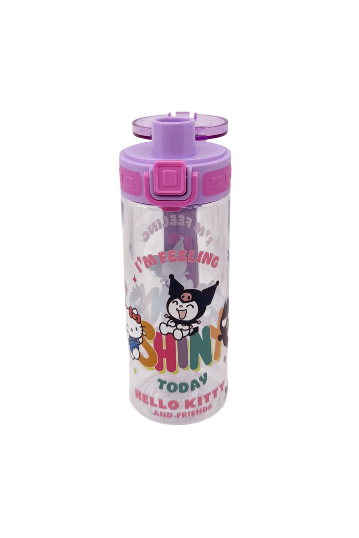 And Friends Lisanslı 500 Ml Matara 3421
