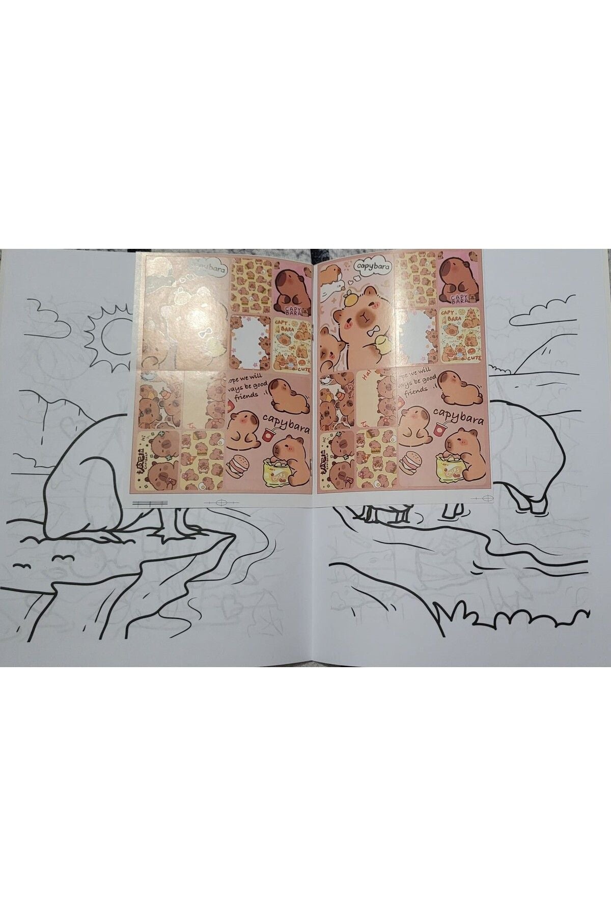 Capy bara Boyama Kitabı Stickerlı Arka Kapak Kesilerek Maskeli Boyanacak Sayfa 1Sayısı 6