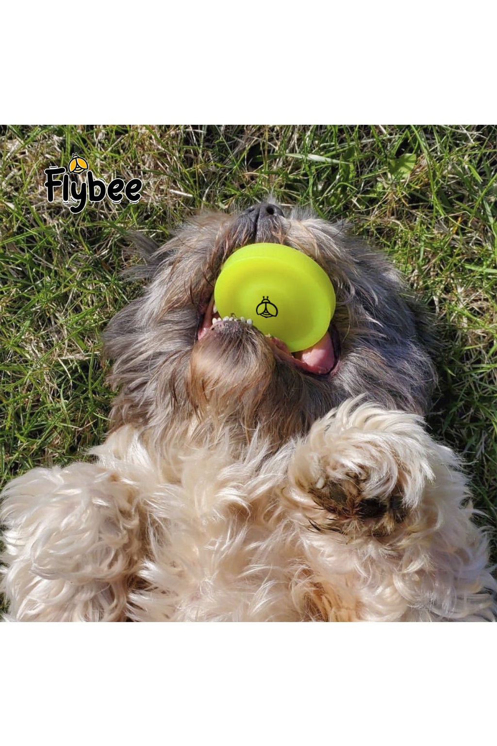 Flybee ZipChip Cep Boy Mini Frizbi At Tut Yakala İç ve Dış Mekan Outdoor Yumuşak Kauçuk Malzeme
