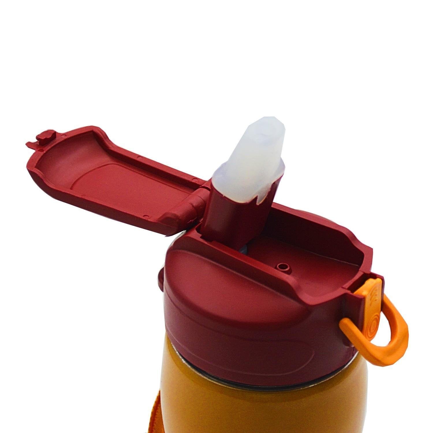 Lisanslı Galatasaray Çelik Matara 750ML