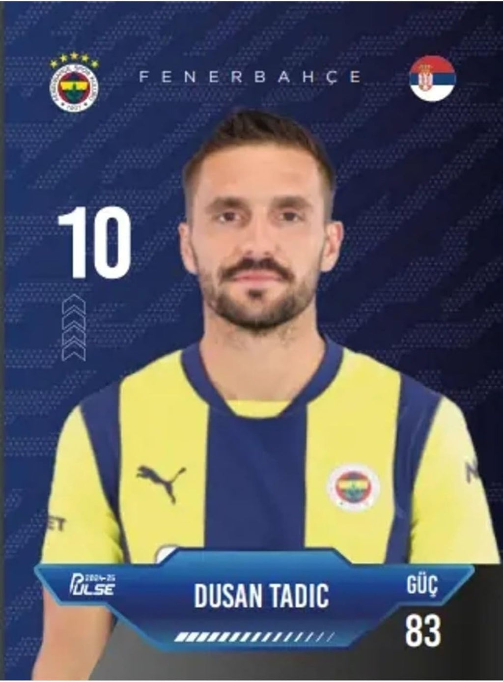 Lisanslı Fenerbahçe Pulse Futbolcu Kartları 2024-25 - 12 Kart