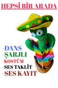 OYUNCAK KAKTÜS ŞARJLI , IŞIKLI , KONUŞAN , DANS EDEN , SES KAYIT YAPILABİLEN , KOSTÜMLÜ