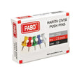 PASO 250 RENKLİ HARİTA ÇİVİSİ 23mm 18 Lİ