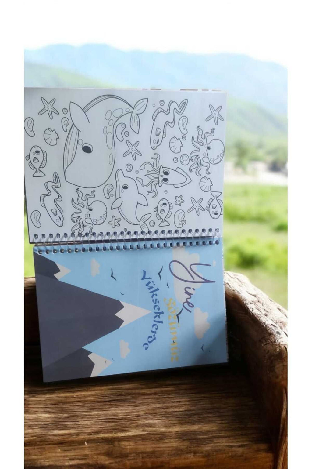 zamansız haftalık stickerlı resimli renkli spiralli sert kapak planlayıcı ajanda