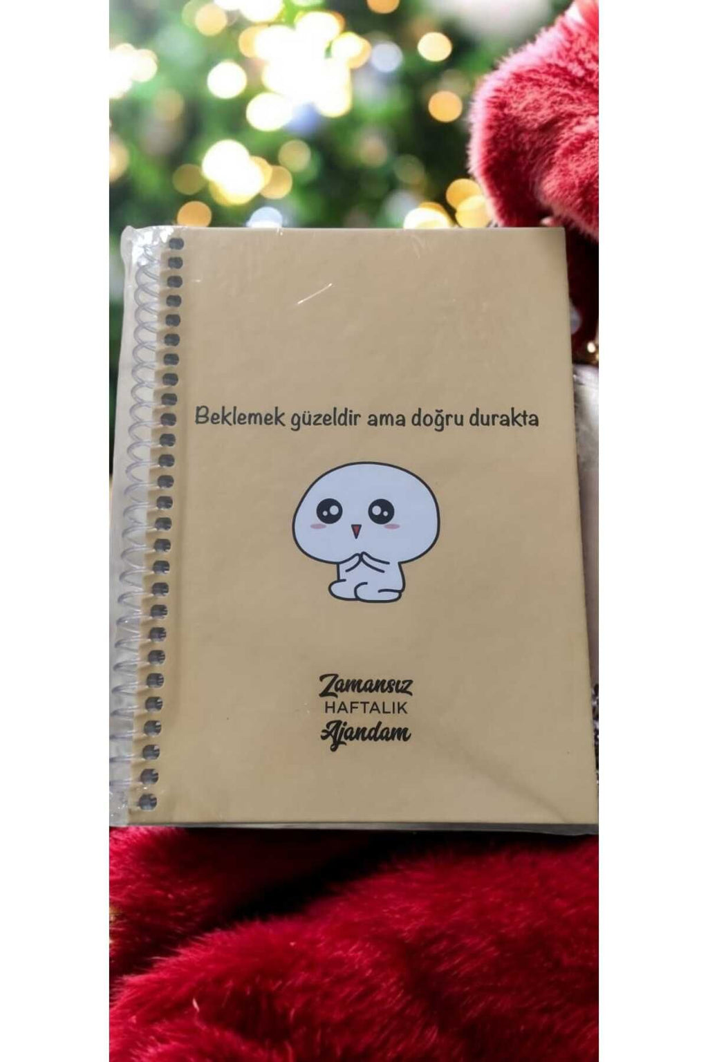 zamansız haftalık stickerlı resimli renkli spiralli sert kapak planlayıcı ajanda